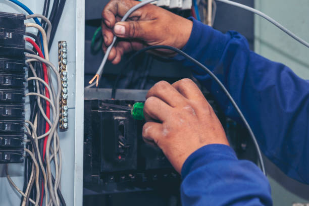 Best Electric Panel Repair  in Holton, KS